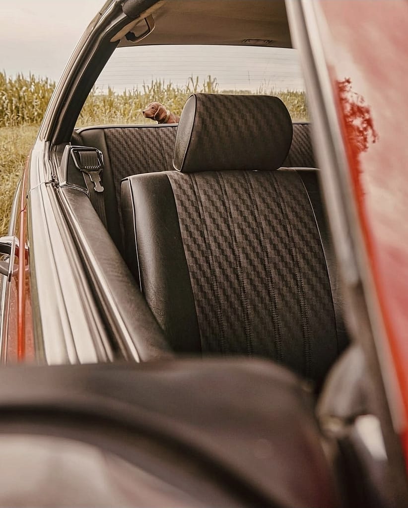 Innenraum des Mercedes-Benz C123 Coupé mit klassischer Rückbank und charakteristischer Stoffausstattung.