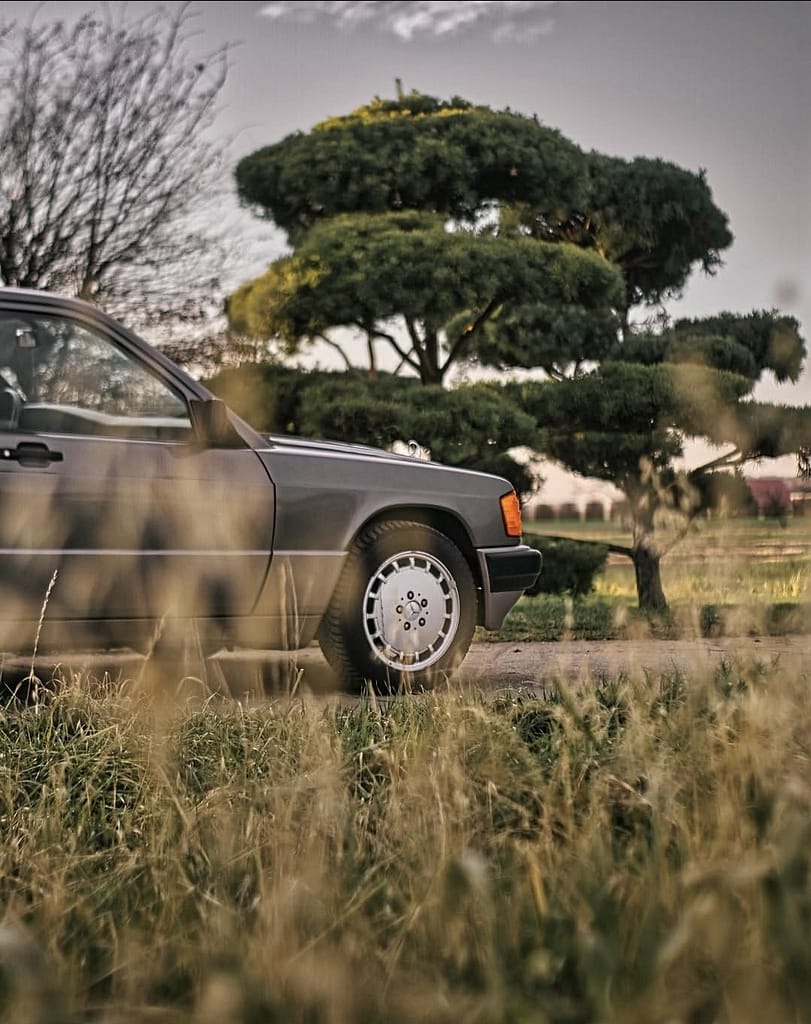 Detailaufnahme Mercedes-Benz 190E Seitenbereich Natur Umgebung
